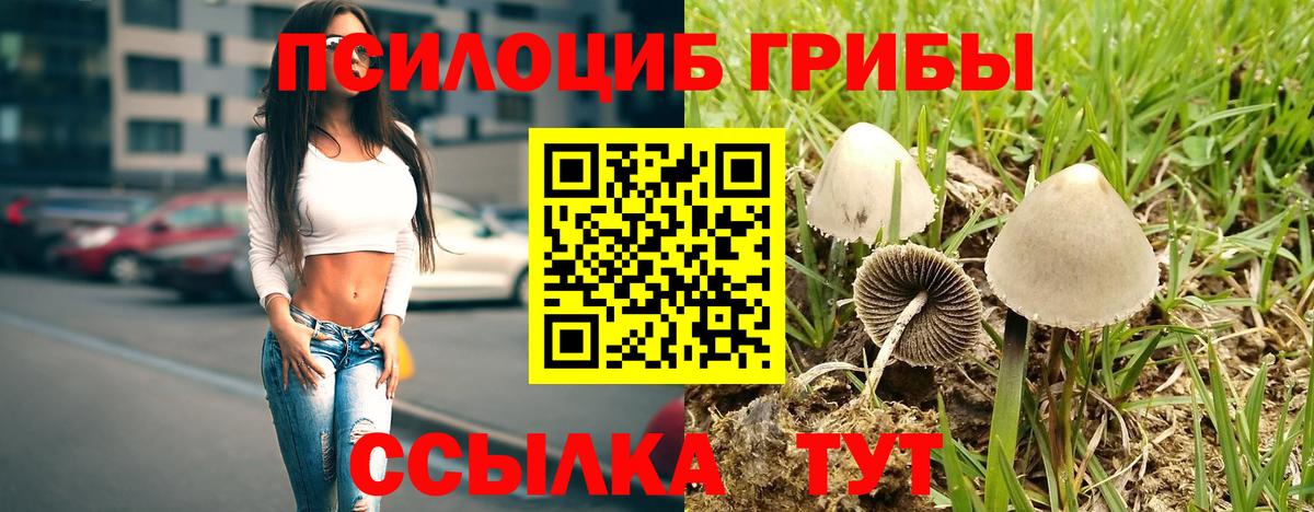 Псилоцибиновые грибы мухоморы Красноперекопск