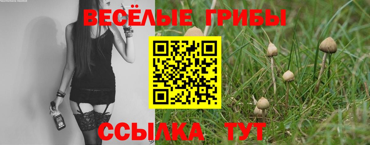 Псилоцибиновые грибы Psilocybine cubensis  Вход с VPN  наркота  Красноперекопск 